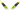 Patch cord de fibra ótica Digitus DK-2533-05-5. Cabo duplex (5m) multimode OM5 (WBMMF). Conectores LC/LC, cor Verde Limão, LSOH e relatório de teste. Ideal para 40/100GbE. - DK-2533-05-5 - Image 5
